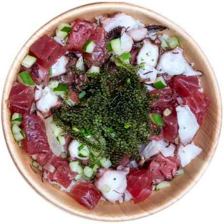 フィッシャーマンズボウル Fisherman's Bowl